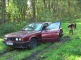 Wood-Stuck