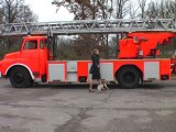 Fire engine fired